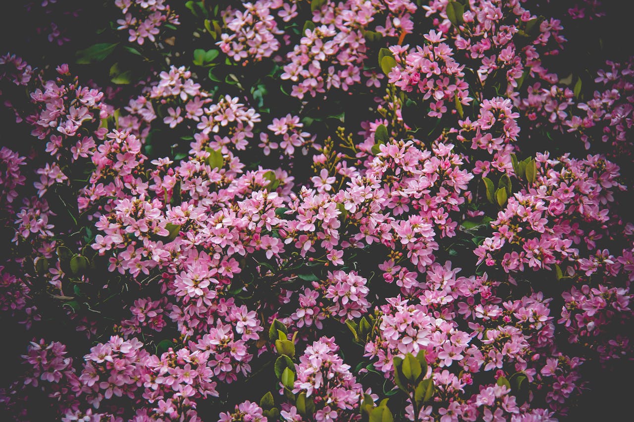 services-02